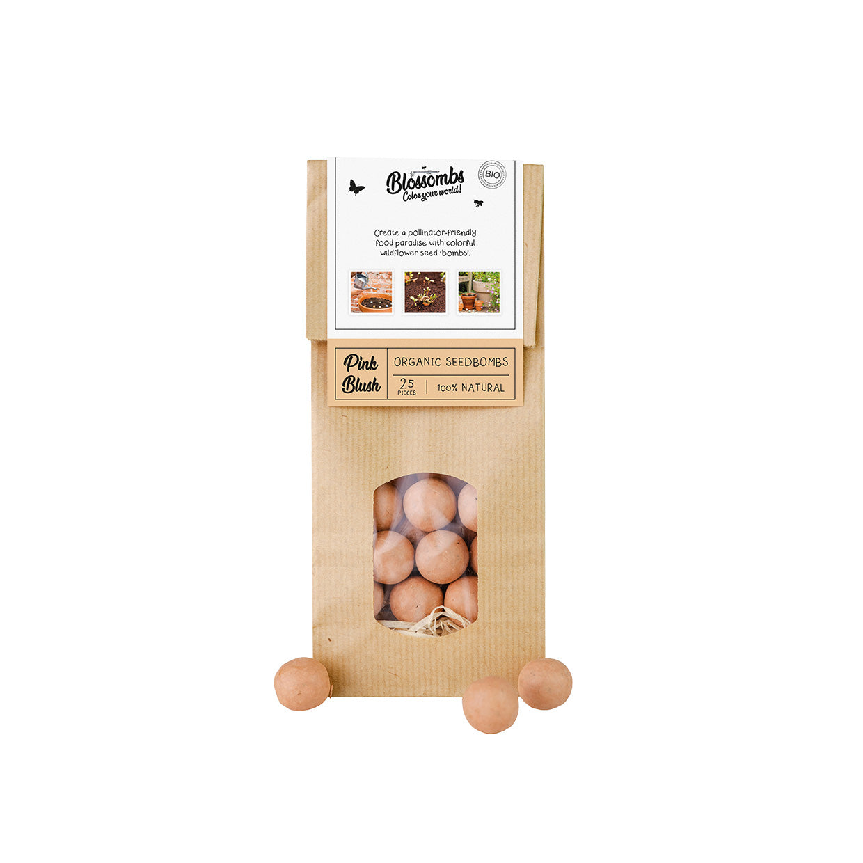 Sachet Kraft (avec 10 ou 25 Blossombs)