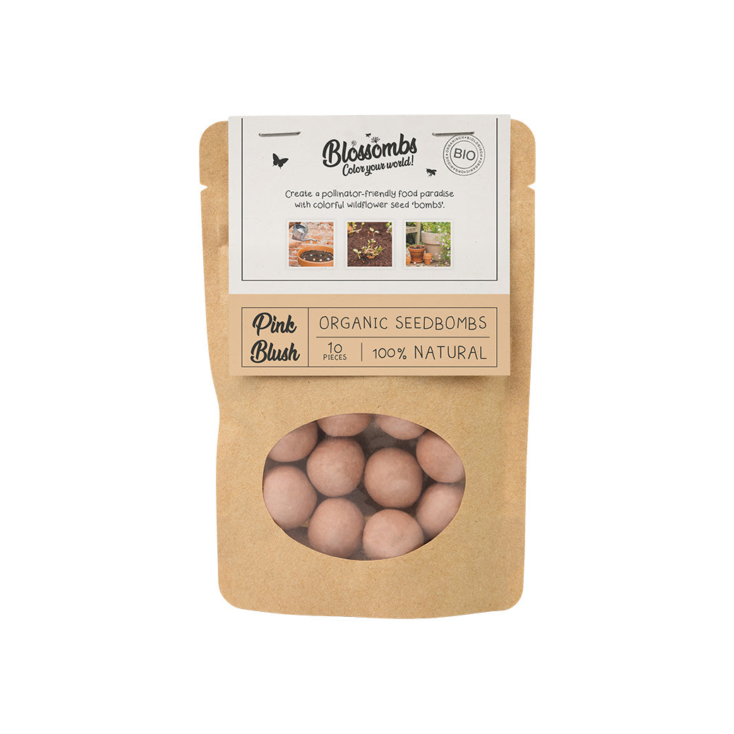Sachet Kraft (avec 10 ou 25 Blossombs)