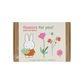 Coffret cadeau Miffy petit modèle avec 7 Bombes de graines - Flowers For You