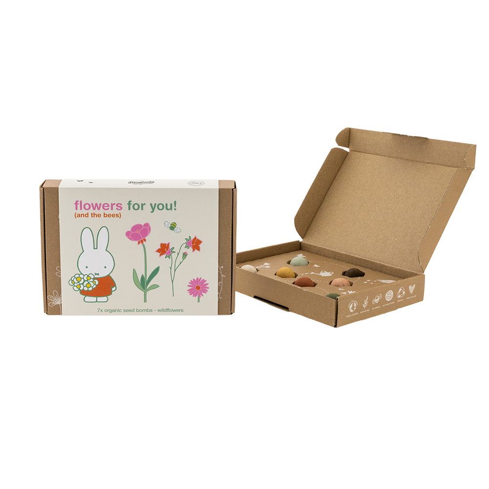 Coffret cadeau Miffy petit modèle avec 7 Bombes de graines - Flowers For You