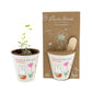 Kit de culture Miffy avec bombe de graines - Flowers For You