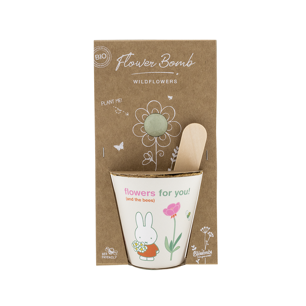 Kit de culture Miffy avec bombe de graines - Flowers For You