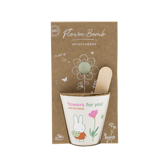 Kit de culture Miffy avec bombe de graines - Flowers For You