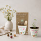Kit de culture Miffy avec bombe de graines - Flowers For You