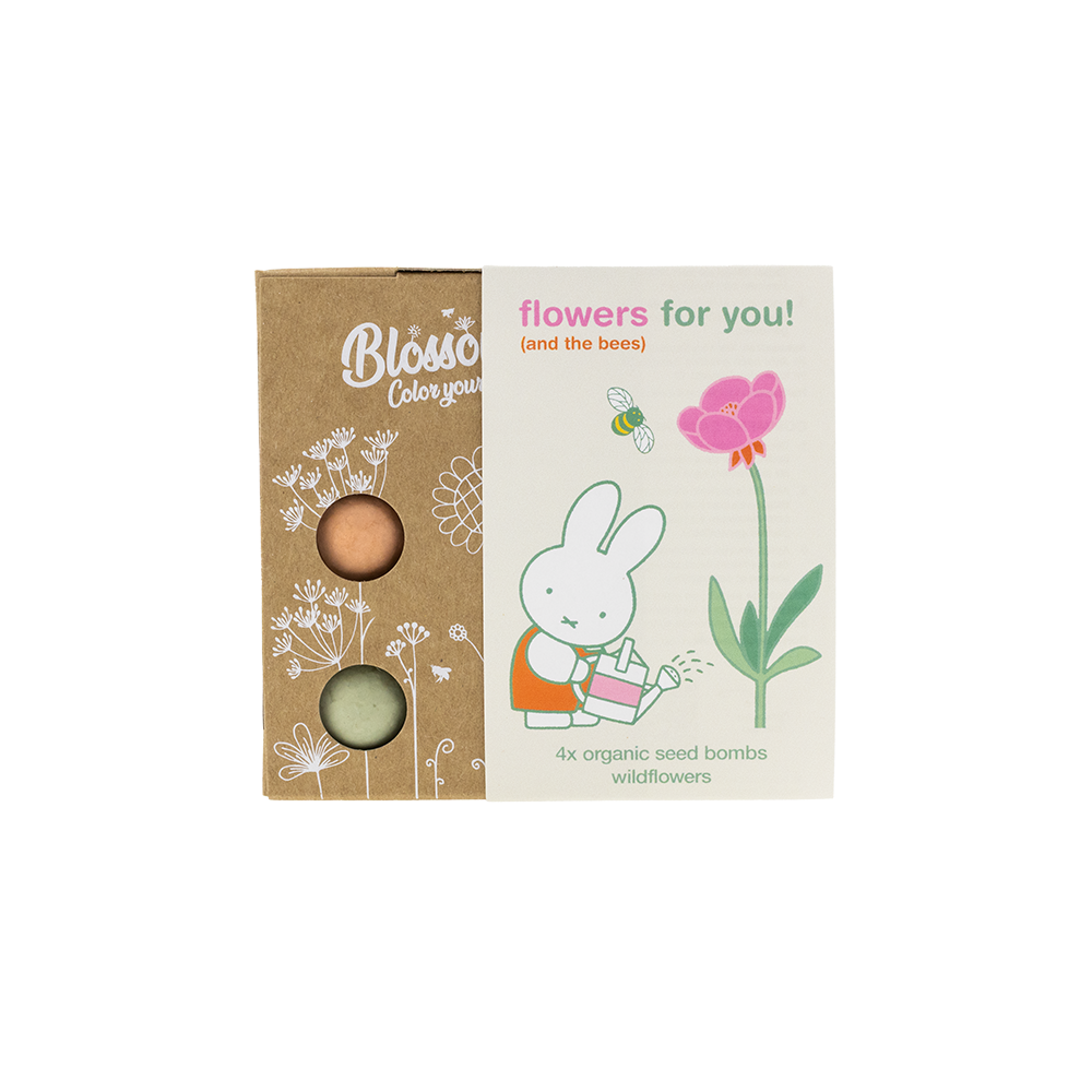 Coffret cadeau Miffy Mini avec 4 bombes de graines - Flowers For You