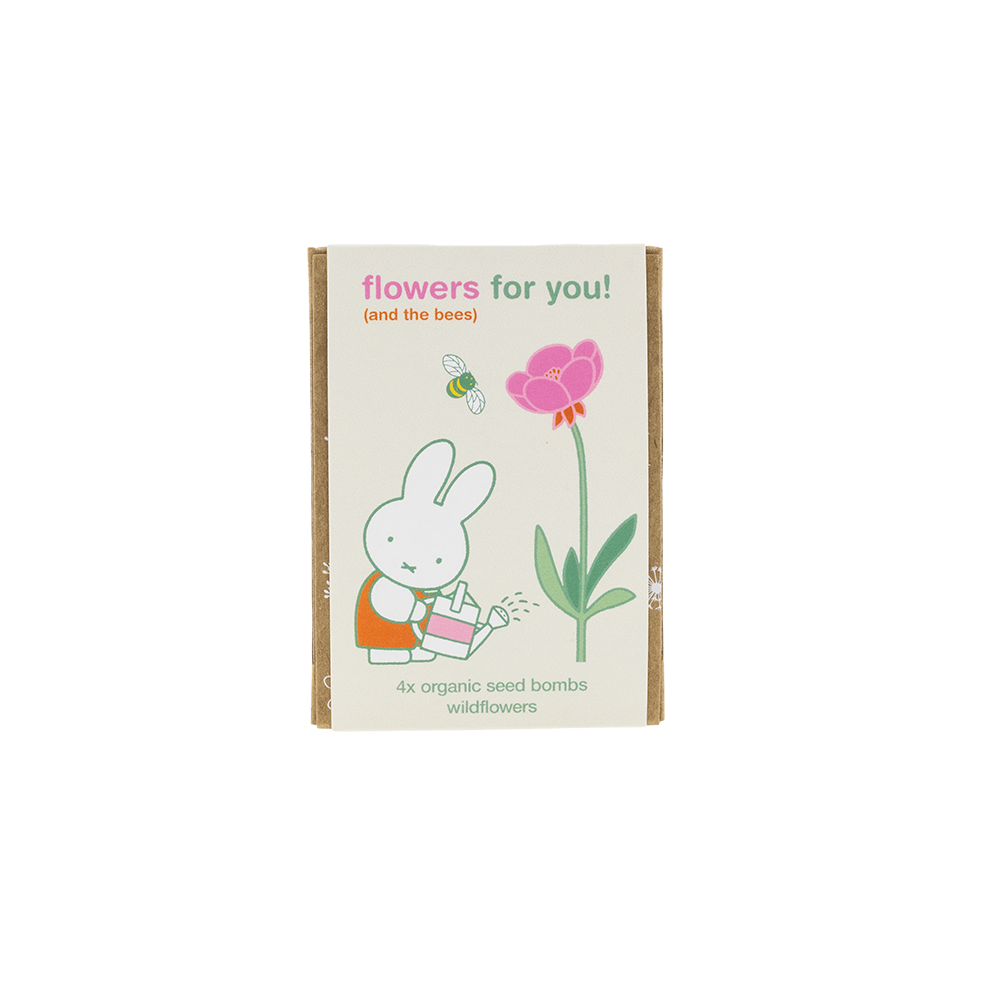 Coffret cadeau Miffy Mini avec 4 bombes de graines - Flowers For You