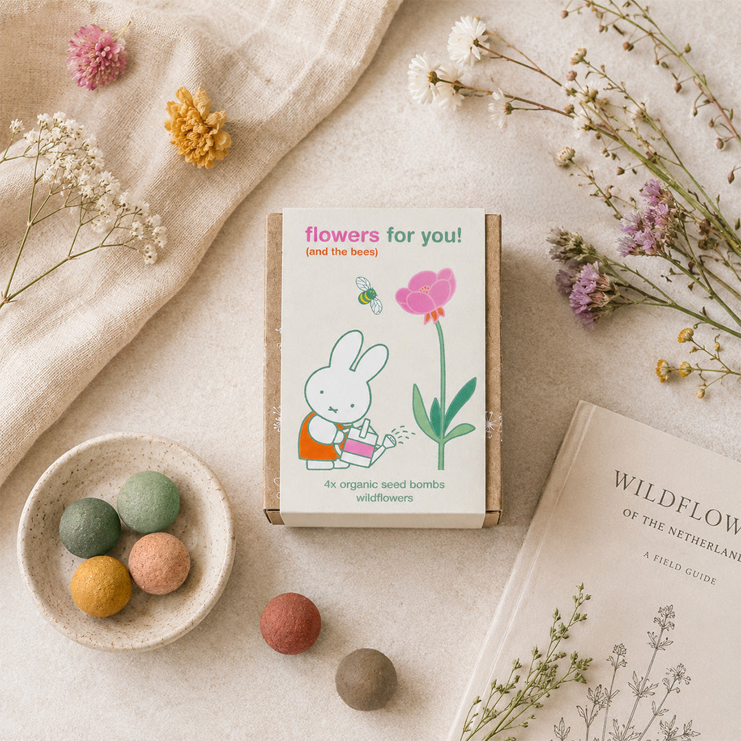 Coffret cadeau Miffy Mini avec 4 bombes de graines - Flowers For You