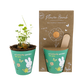 Kit de culture Miffy avec bombe de graines - Jardin à papillons pour vous