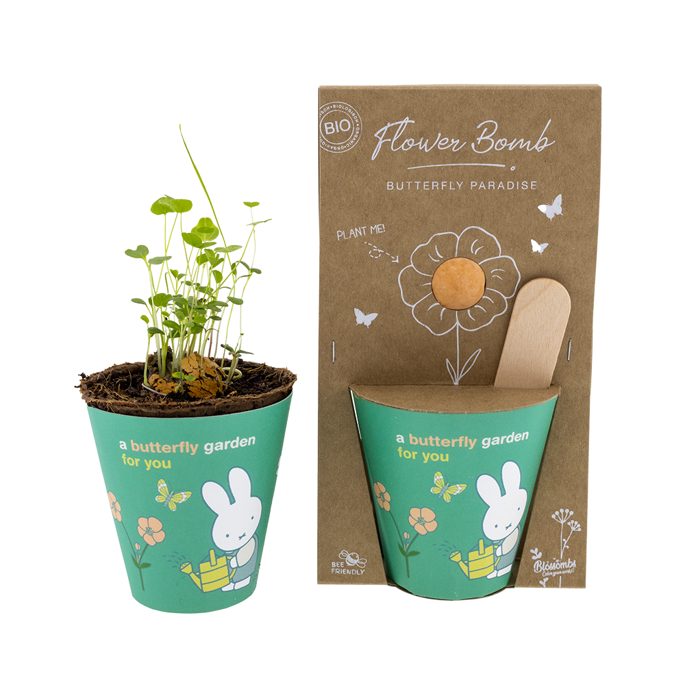 Kit de culture Miffy avec bombe de graines - Jardin à papillons pour vous