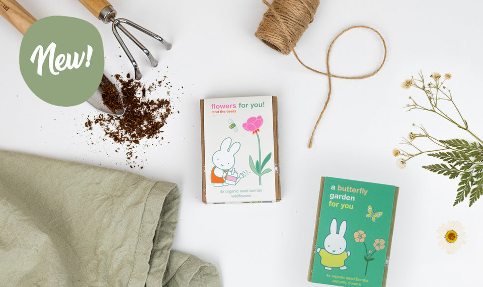 Collection Miffy