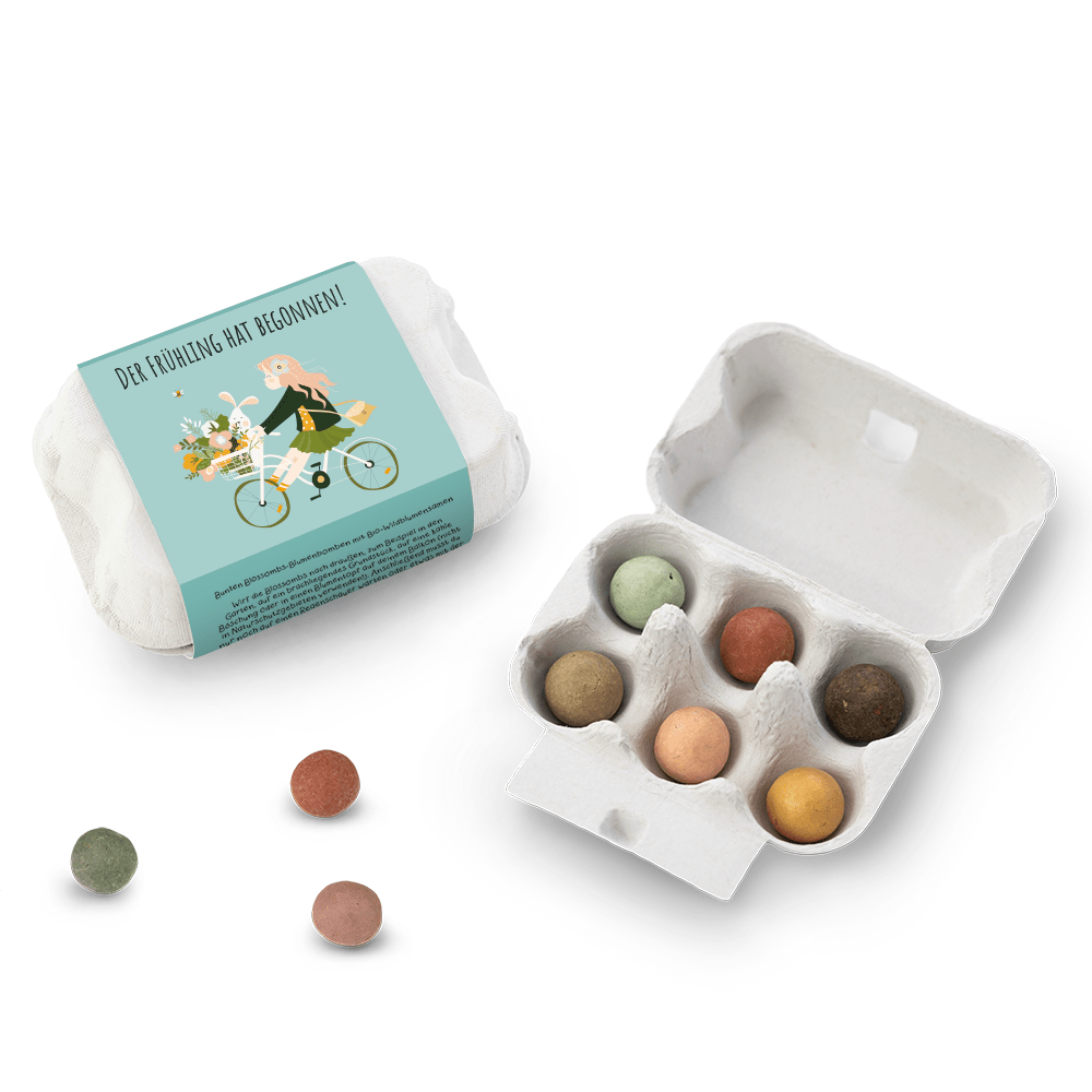 Cadeau boîte à œufs - Printemps - avec 6 bombes à graines