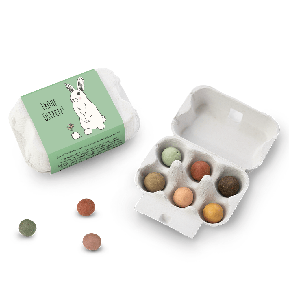 Egg Box - Pâques - Lièvre