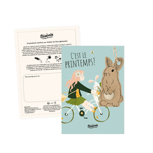 Pendentif Lapin avec 1 bombe à graines sur carte - Printemps