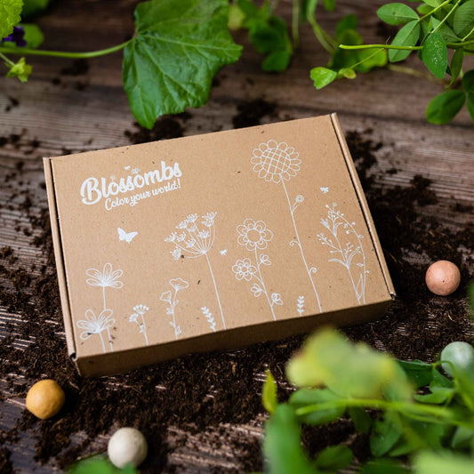 Blossombs Gift Box Small