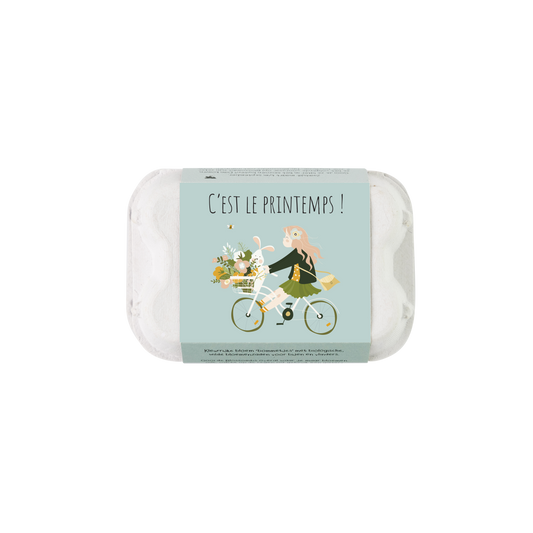 Cadeau boîte à œufs - Printemps - avec 6 bombes à graines