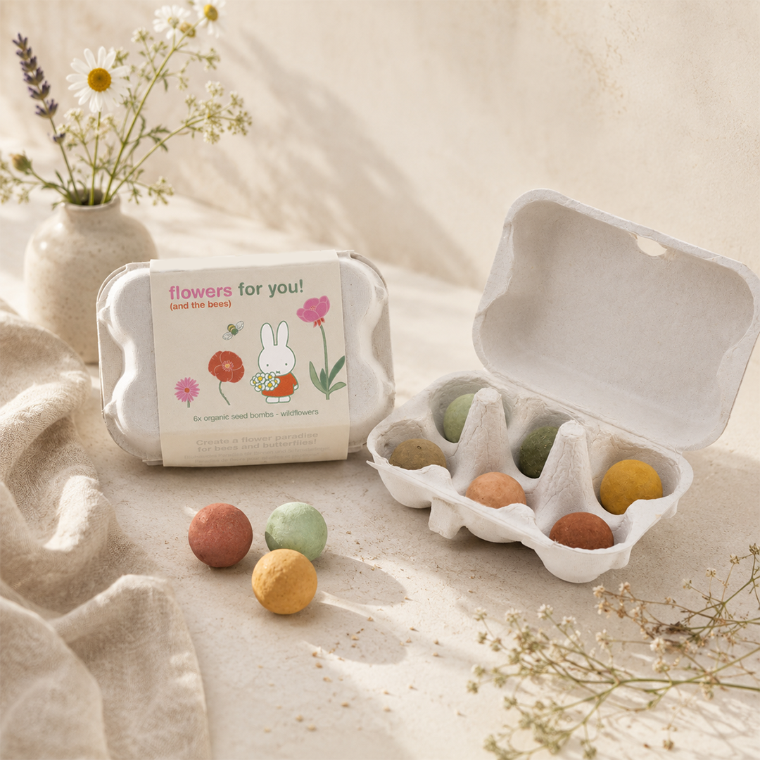 Boîte à œufs Miffy avec 6 bombes de graines - Flowers for you
