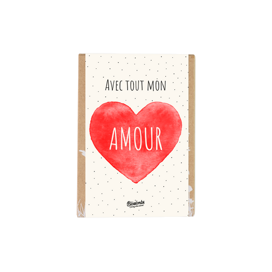Coffret cadeau Mini "Amour" avec 4 bombes à graines