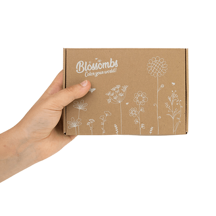Giftbox Small set van 3 kersthangers